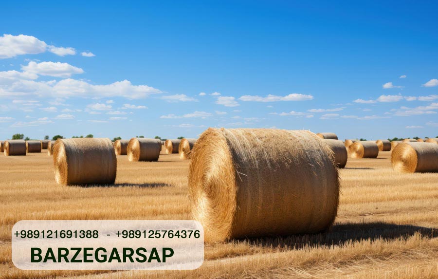 How to Choose the Best Baler Twine for Your Needs