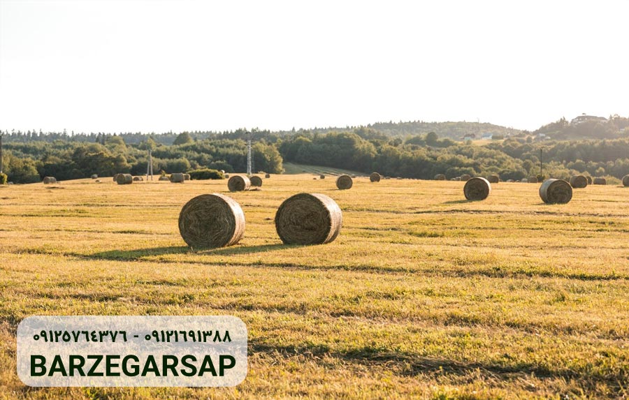 بزرگ ترین کشورهای تولیدکننده کشاورزی