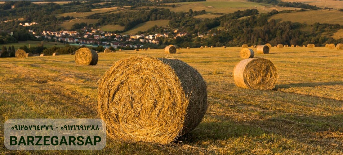 چالش های زیست محیطی کشاورزی