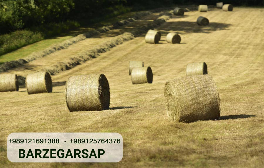 The Importance of Using Quality Baler Twine for Your Baling Operations ...