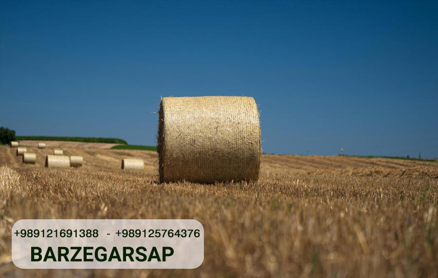 The Role of Baler Twine in Sustainable Agriculture - Barzegar baler ...