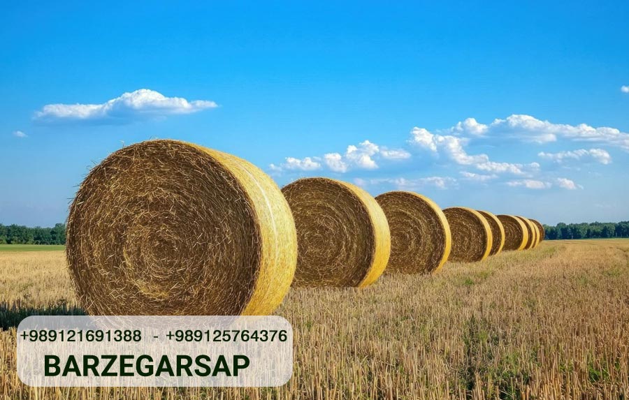 Top Manufacturers of Baler Machines Worldwide