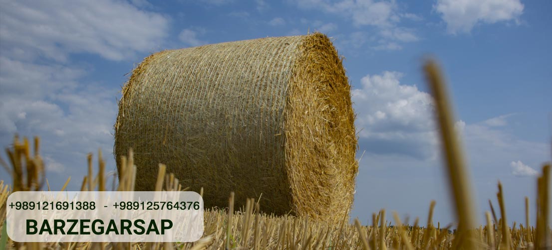 Understanding Baler String and Its Applications in Agriculture ...